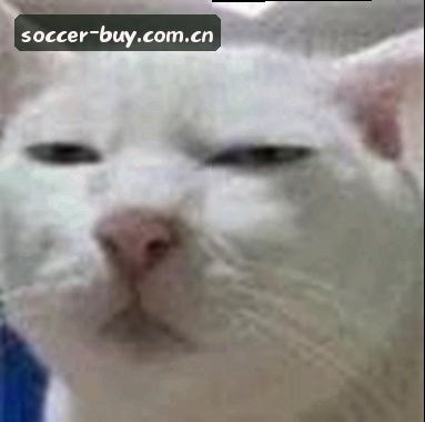 陈总